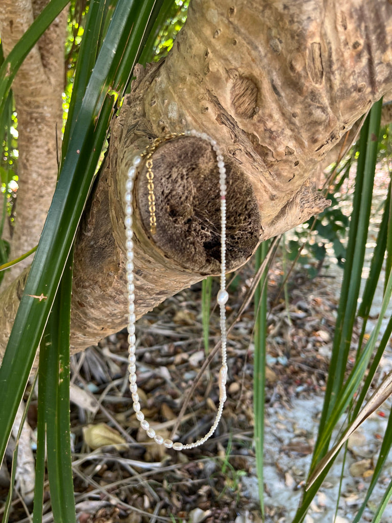 Nova Pearls necklace