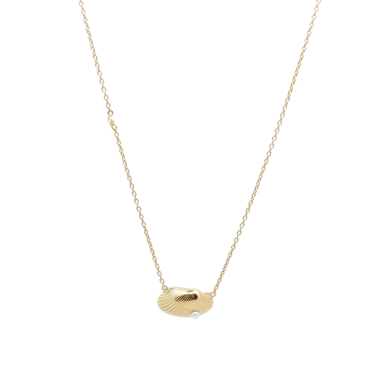 Shell Pearl Necklace