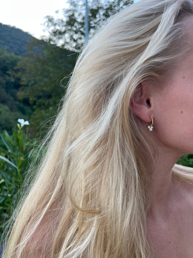 Dotti creol m. perler